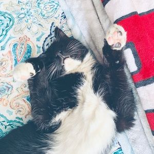 Meet your Posher, Anna